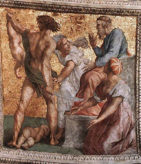 RAFFAELLO Sanzio The Judgment of Solomon oil painting picture